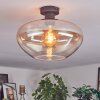 Mertola Taklampa Amber, Klart, 1-ljuskällor
