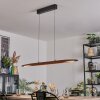 Fugelsta Pendellampa, Pendelbelysning LED Svart, 1-ljuskällor