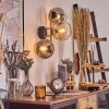 Gastor kullampa, Vägglampa Guld, Svart, 3-ljuskällor