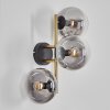 Gastor kullampa, Vägglampa Guld, Svart, 3-ljuskällor
