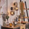 Gastor kullampa, Vägglampa Guld, Svart, 3-ljuskällor