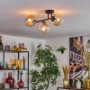 Gastor Taklampa, kullampa Amber, Klart, 3-ljuskällor
