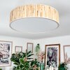 Foggia Taklampa Nickel matt, 3-ljuskällor