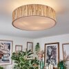 Foggia Taklampa Nickel matt, 3-ljuskällor
