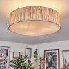 Foggia Taklampa Nickel matt, 3-ljuskällor