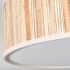 Foggia Taklampa Nickel matt, 3-ljuskällor