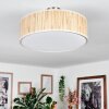 Foggia Taklampa Nickel matt, 3-ljuskällor