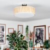 Foggia Taklampa Nickel matt, 3-ljuskällor