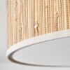 Foggia Taklampa Nickel matt, 3-ljuskällor