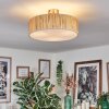 Foggia Taklampa Nickel matt, 3-ljuskällor