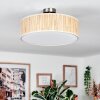 Foggia Taklampa Nickel matt, 3-ljuskällor