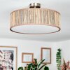 Foggia Taklampa Nickel matt, 3-ljuskällor
