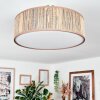 Foggia Taklampa Nickel matt, 3-ljuskällor