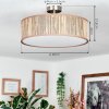 Foggia Taklampa Nickel matt, 3-ljuskällor
