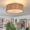 Foggia Taklampa Nickel matt, 3-ljuskällor