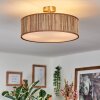 Foggia Taklampa Nickel matt, 3-ljuskällor