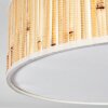 Foggia Taklampa Nickel matt, 3-ljuskällor