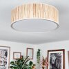 Foggia Taklampa Nickel matt, 3-ljuskällor