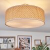 Foggia Taklampa Nickel matt, 3-ljuskällor
