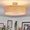 Foggia Taklampa Nickel matt, 3-ljuskällor