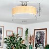 Foggia Taklampa Nickel matt, 3-ljuskällor