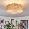 Foggia Taklampa Nickel matt, 3-ljuskällor