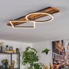 Pompu Taklampa LED Naturfärger, Svart, 1-ljuskällor