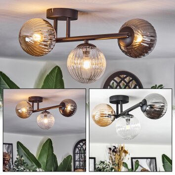 Chehalis Taklampa, kullampa Amber, Klart, Rökfärger, 3-ljuskällor