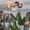 Chehalis Taklampa, kullampa Amber, Klart, Rökfärger, 3-ljuskällor