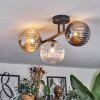 Chehalis Taklampa, kullampa Amber, Klart, Rökfärger, 3-ljuskällor