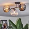 Chehalis Taklampa, kullampa Amber, Klart, Rökfärger, 3-ljuskällor