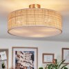 Foggia Taklampa Nickel matt, 3-ljuskällor