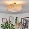 Foggia Taklampa Nickel matt, 3-ljuskällor