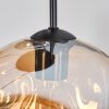 Ripoll Pendellampa, kullampa, Pendellampa Cluster Amber, Rökfärger, 5-ljuskällor