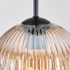 Ripoll Pendellampa, kullampa, Pendellampa Cluster Amber, Klart, Rökfärger, 5-ljuskällor