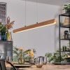 Fugelsta Pendellampa, Pendelbelysning LED Svart, 1-ljuskällor