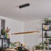 Fugelsta Pendellampa, Pendelbelysning LED Svart, 1-ljuskällor