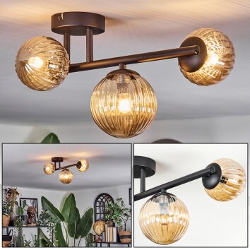 Chehalis Taklampa, kullampa Amber, 3-ljuskällor