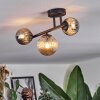 Chehalis Taklampa, kullampa Amber, Rökfärger, 3-ljuskällor