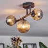 Chehalis Taklampa, kullampa Amber, Rökfärger, 3-ljuskällor