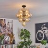 Chehalis Taklampa, kullampa 39 cm LED Amber, 13-ljuskällor