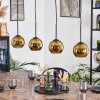 Koyoto Pendellampa, kullampa, Pendelbelysning Guld, 4-ljuskällor