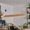 Fugelsta Pendellampa, Pendelbelysning LED Svart, 1-ljuskällor
