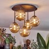 Chehalis Taklampa, kullampa Amber, 5-ljuskällor