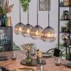 Koyoto Pendellampa, kullampa, Pendelbelysning Klart, Rökfärger, 4-ljuskällor
