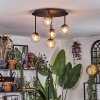 Chehalis Taklampa, kullampa Amber, Klart, 5-ljuskällor