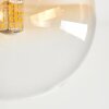Chehalis Taklampa, kullampa Amber, Klart, Rökfärger, 5-ljuskällor
