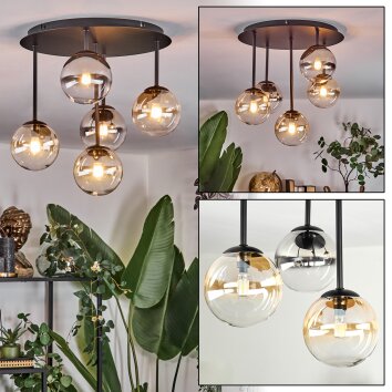 Chehalis Taklampa, kullampa Amber, Klart, Rökfärger, 5-ljuskällor