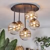 Chehalis Taklampa, kullampa Amber, Klart, 5-ljuskällor