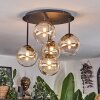 Chehalis Taklampa, kullampa Amber, Klart, 5-ljuskällor